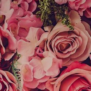 Meet your Posher, Belinda